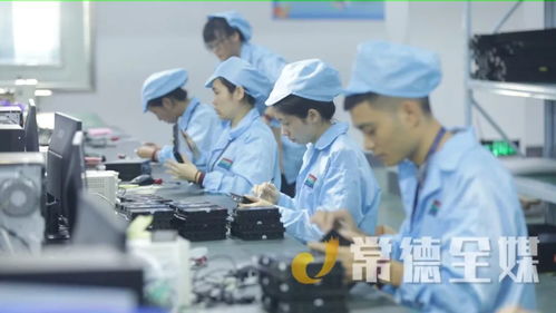 桃源培優(yōu)“兩主兩特”產(chǎn)業(yè)，以信息技術(shù)咨詢服務(wù)助力挺進(jìn)全省十強(qiáng)縣