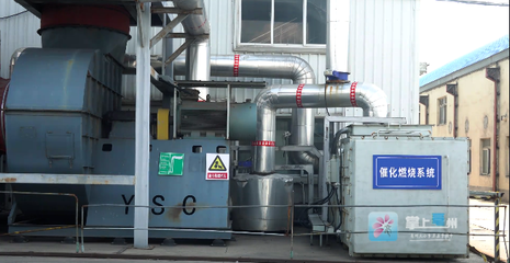 亳州 綠色工廠點(diǎn)“綠”成“金”，信息技術(shù)咨詢服務(wù)助力產(chǎn)業(yè)升級(jí)